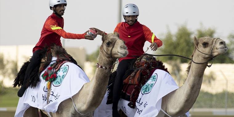 Katar'da "develer üzerinde hentbol" maçı oynandı