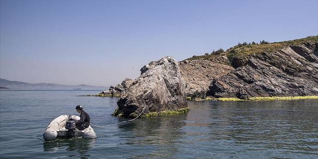Marmara Denizi müsilaj öncesine döndü