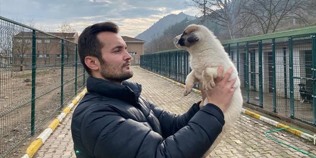 Bilecik'teki barınakta iyileştirilen sahipsiz hayvanlar eğitim verilmeden doğaya bırakılmıyor