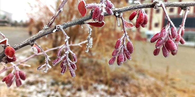 Doğu Anadolu'da soğuk hava etkili oluyor