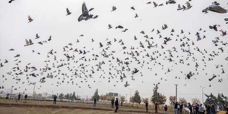 Diyarbakır'da düzenlenen etkinlikte binlerce güvercin uçuruldu