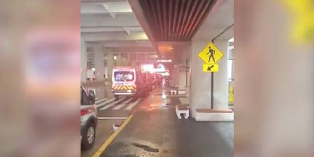 ABD'de, türbülansa giren uçaktaki yolculardan 36'sı yaralandı