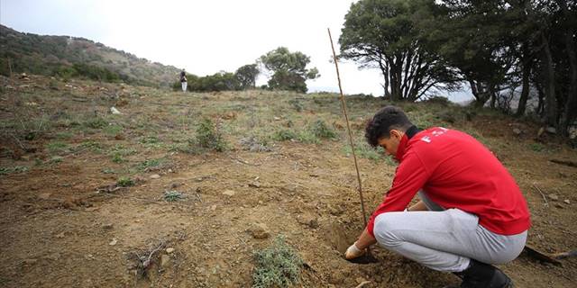 Türkiye'nin en büyük adasında tarımsal ürün çeşitliliği artırılıyor