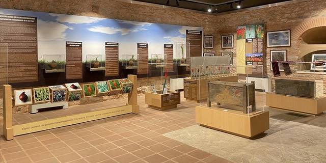 Lale Müzesi 2,5 yıllık aranın ardından tekrar ziyarete açıldı