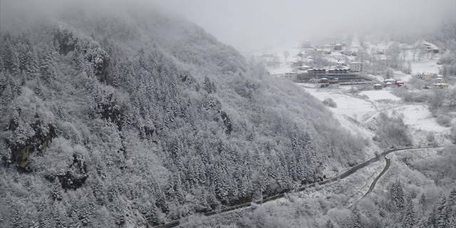 Zigana Dağı'nda kar ve sis etkili oldu