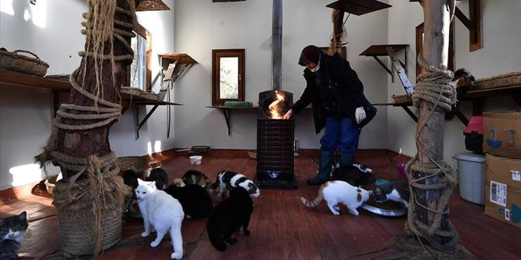 Bursa'daki kedi villalarında sobalar yanmaya başladı