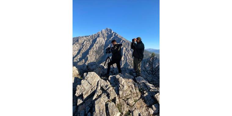 Aladağlar'daki yaban keçisi sayısı 2 bin 534'e ulaştı