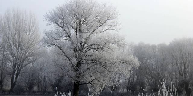 Sivas'ta sis ve soğuk hava etkili oldu