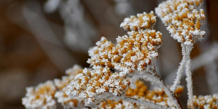 Doğu Anadolu'da soğuk hava ve kar etkili oluyor