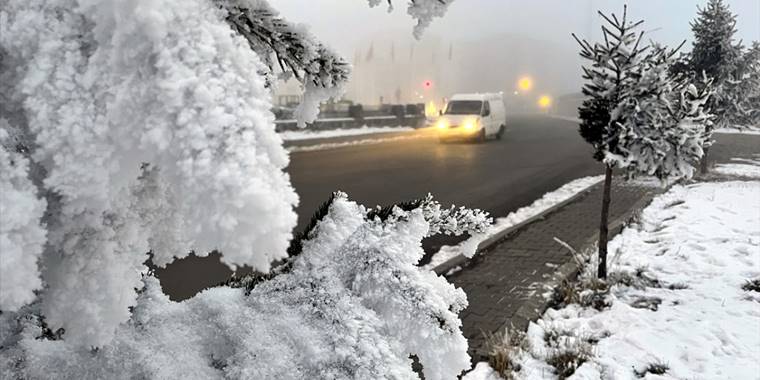 Ardahan'da yoğun sis etkili oldu