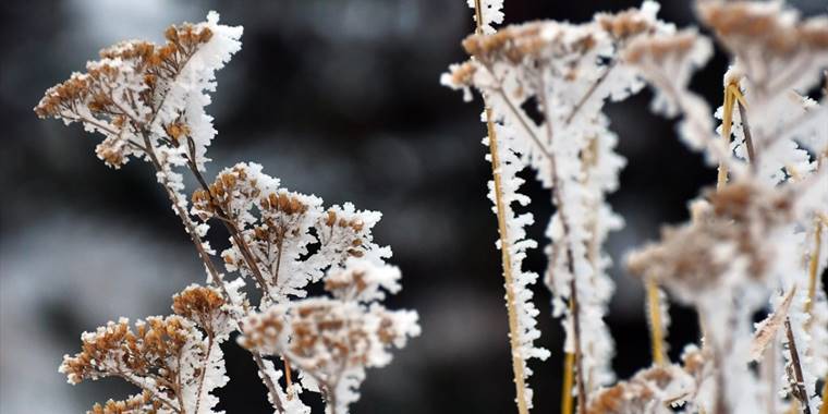 Kars'ta kar, Erzurum ve Ardahan'da soğuk hava etkili oluyor