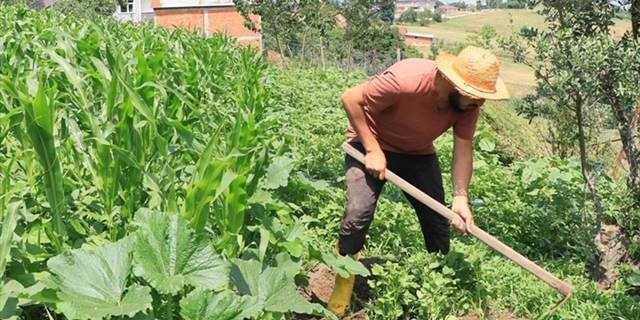 Organik tarım ve permakültür, konvansiyonel tarıma alternatif sunuyor