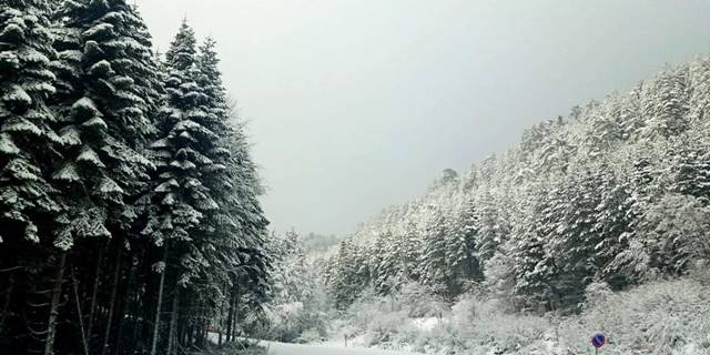 Keltepe Kayak Merkezi'nde kar ve sis etkili oluyor