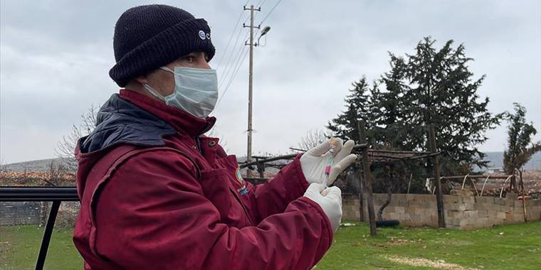 Adıyaman'da karantinaya alınan köylerdeki hayvanlar aşılanıyor