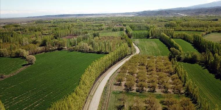 Hazine'ye ait 2/B ve tarım arazileri satışında başvurular 31 Aralık'ta sona erecek