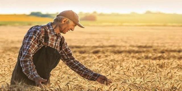 TÜİK: Mevsimlik tarım işçilerinin ortalama günlük ücretleri 2022 yılında %87,1 arttı