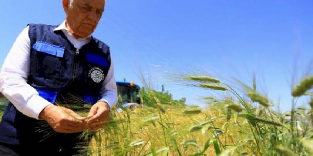 Muğla'da tarım ve hayvancılığa büyük destek