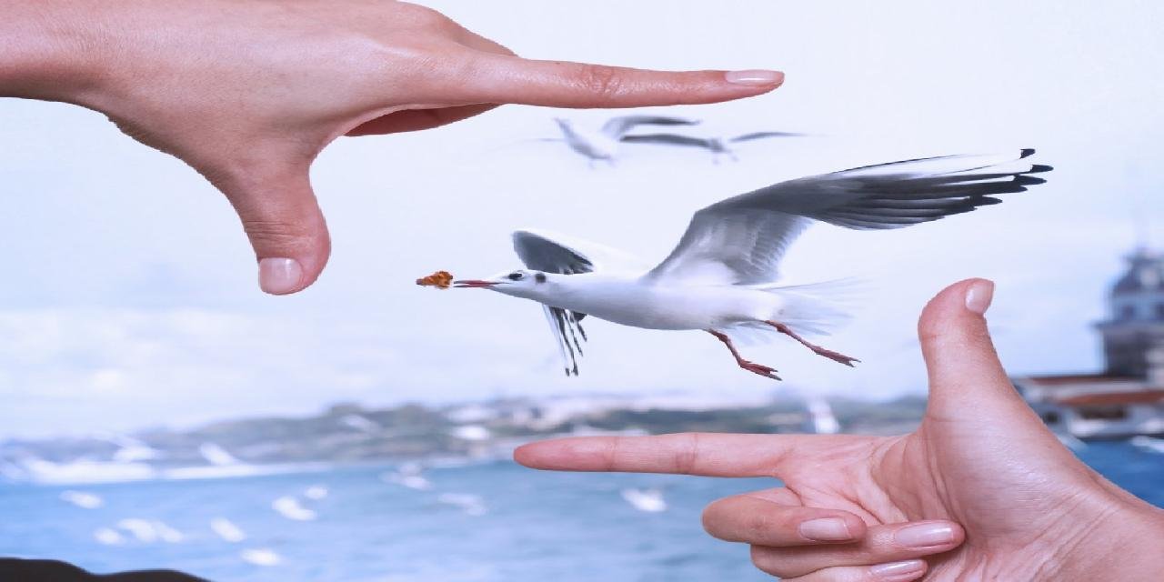 Sevgilim İstanbul Fotoğraf Yarışması Başladı