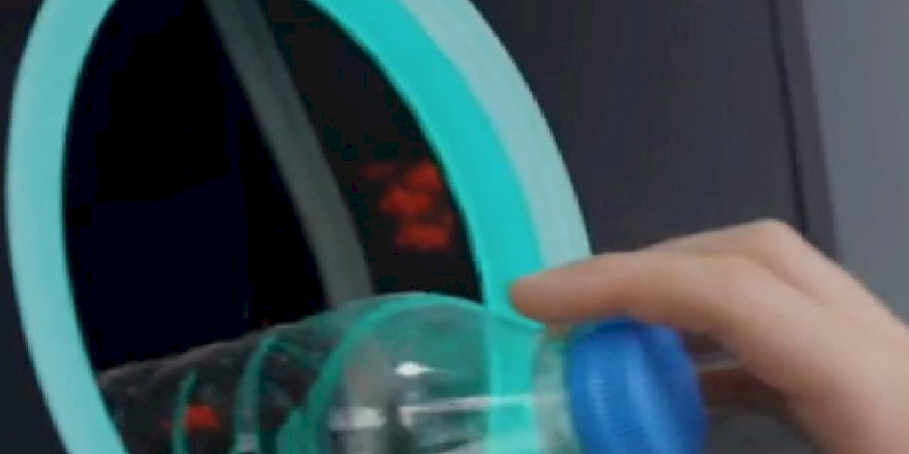 Çevre ve Şehircilik'ten 'doğaya atma' mesajı