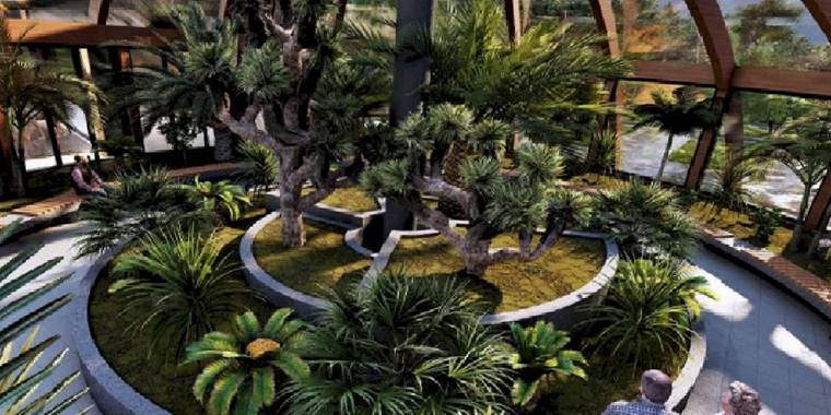 Sakarya aromatik bitkide 'üs' oluyor