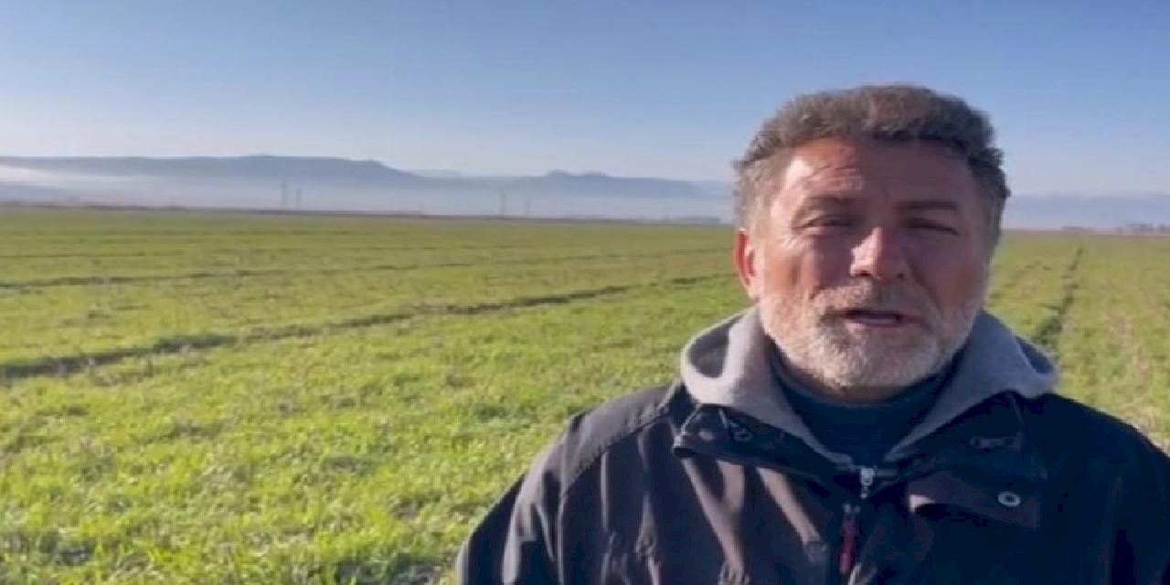 Narenciye üreticisi acil yardım bekliyor