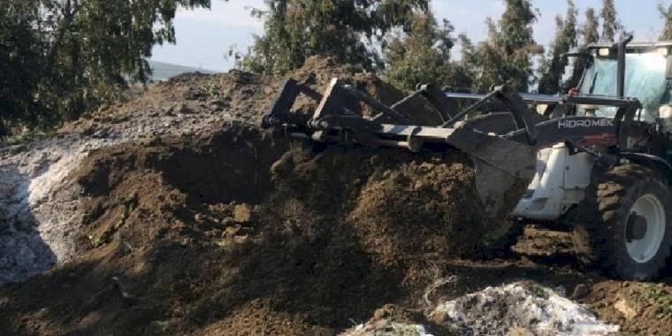 Depremde telef olan hayvanlar hastalık riskine karşı gömüldü