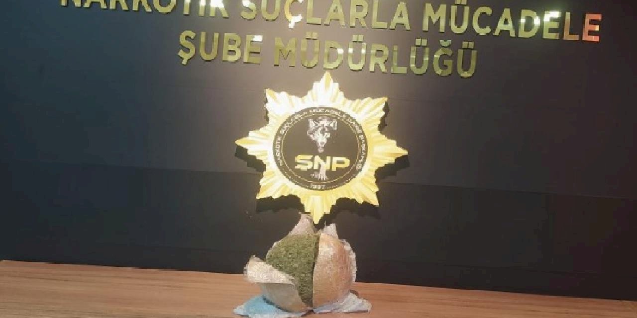 Şanlıurfa'da narkotik ekipleri şüpheli yolcuyu gözaltına aldı