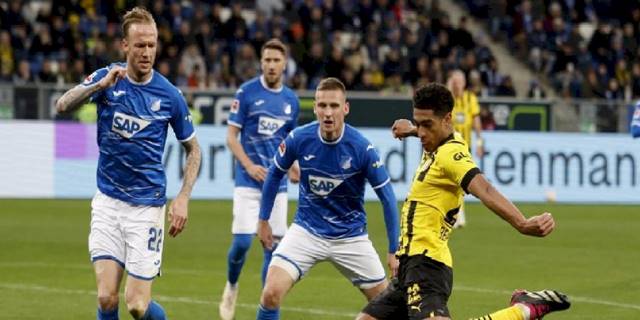 Hoffenheim 0-1 B. Dortmund (MAÇ SONUCU - ÖZET)