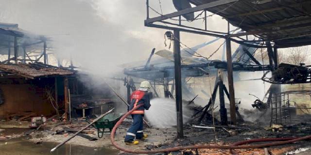 Düzce'de ahır ve dükkan alev alev yandı!