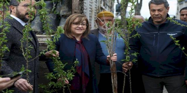 Gaziantep'te kırsaldaki çiftçiye 50 bin fidan