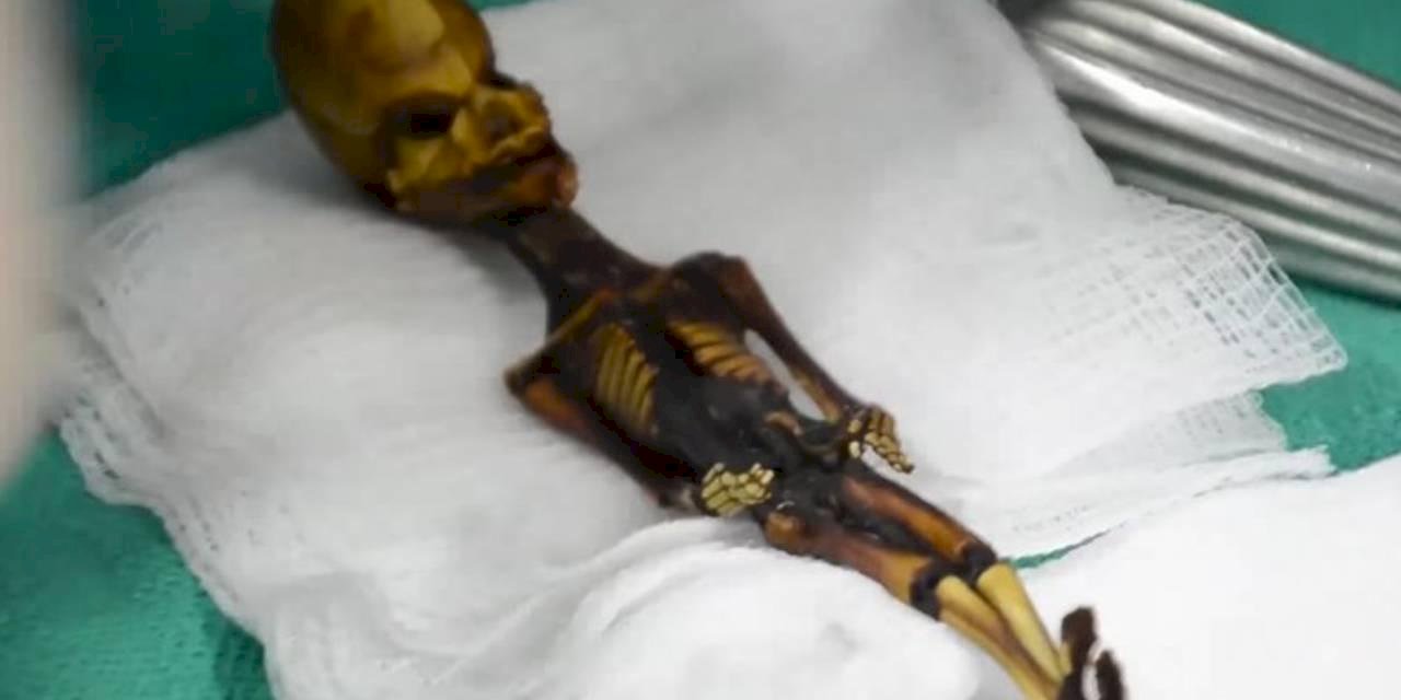 Bilim insanları bu iskeletin gizemini çözdü...