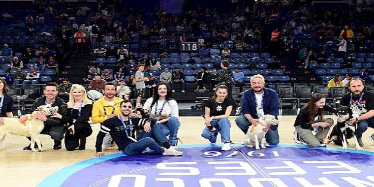 Anadolu Efes, Pawder İş Birliğiyle Depremzede Köpekleri Sinan Erdem Spor Salonu'nda Ağırladı