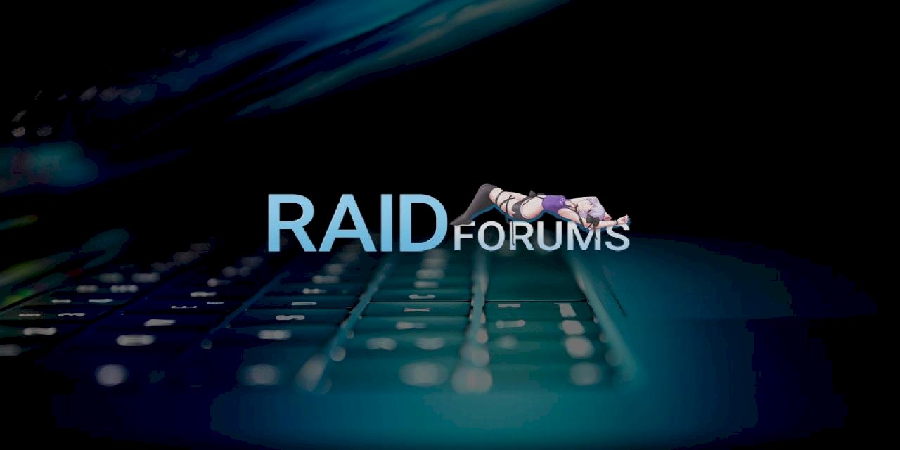 Hollanda Polisi, Eski RaidForums Üyesi Siber Suçlulara E-Posta Gönderdi