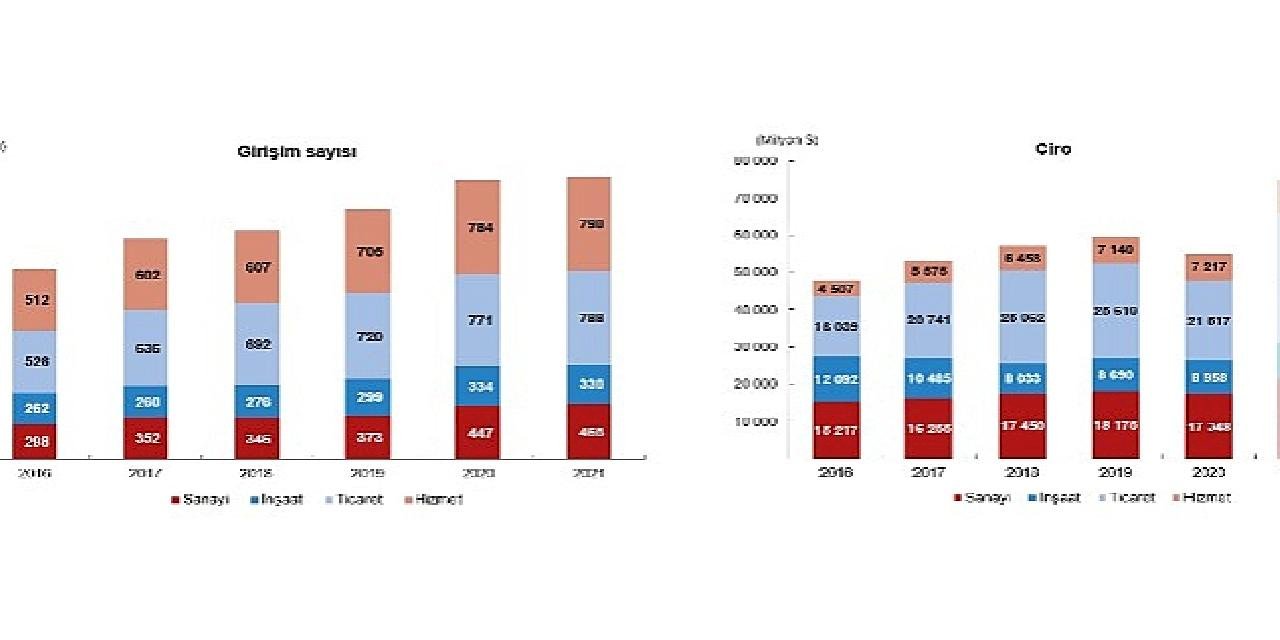 TÜİK: Yurt Dışında Kontrol Edilen Girişim İstatistikleri, 2021