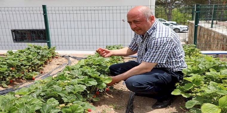 Kayseri Talas'tan deneme bahçelerine teşvik