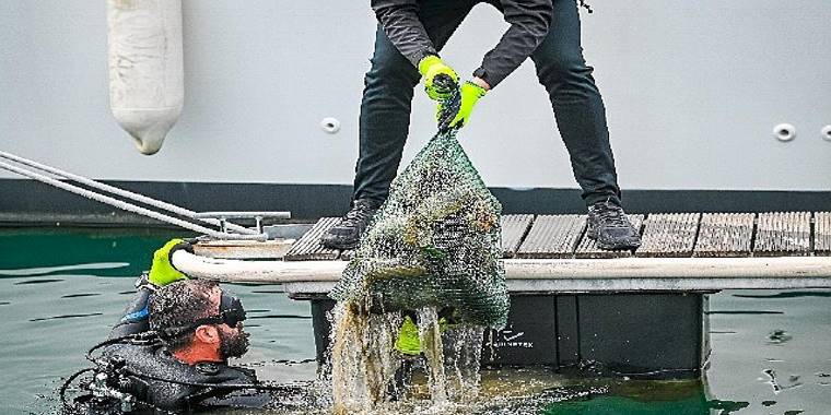 D-Marin tüm marinalarında Çevre Farkındalık Günlerini kutladı