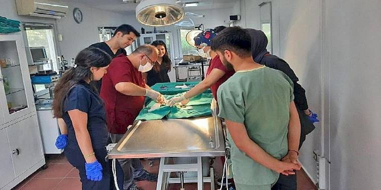Osmangazi Belediyesi'nden Veteriner Fakültesi öğrencilerine uygulamalı eğitim