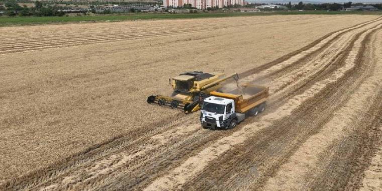 Atatürk Orman Çiftliği'nde hasat sevinci