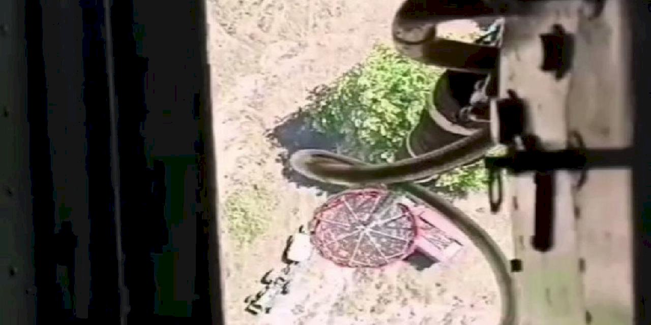 Bursa Mudanya'da makilik alanda yangın!