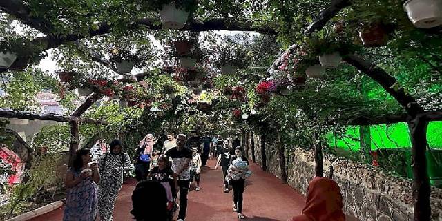 Ankara'nın en serin adresi Atatürk Botanik Bahçesi