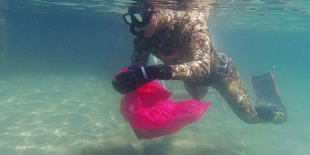 Bodrum Belediyesi'nden deniz dibi temizliği 