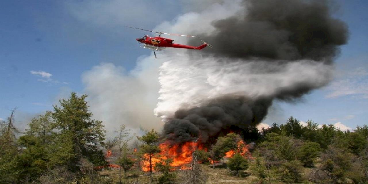 Kocaeli İtfaiyesi orman yangınlarına karşı uyardı