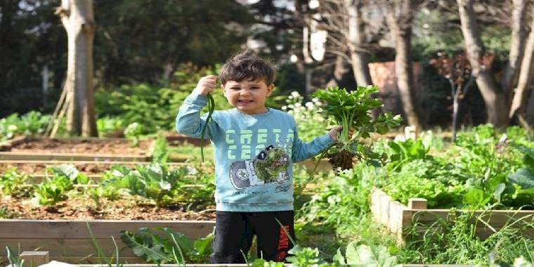 Kadıköy bostanlarında hasat zamanı