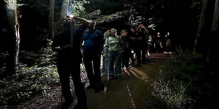 Ormanya'da macera dolu gece yürüyüşü