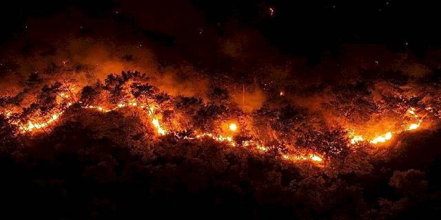 Antalya Büyükşehir Göynük yangını için seferler oldu