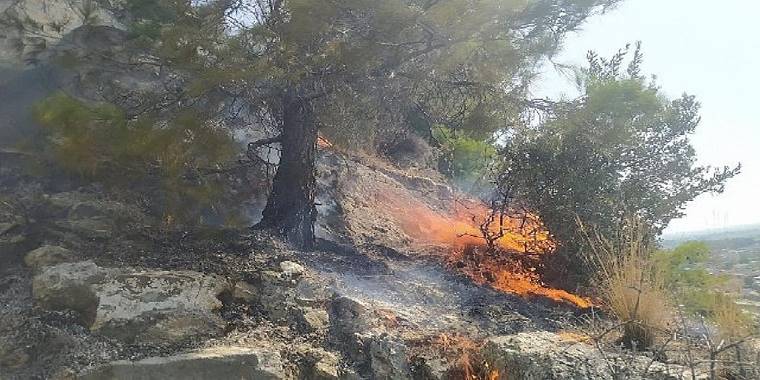 Aydın Büyükşehir Belediyesi İtfaiyesi, Söke'de ormanlık alanda çıkan yangını hızlı müdahaleyle büyümeden söndürdü