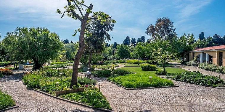 İstanbul'un Ortasında Şifa Dolu Bir Bahçe…