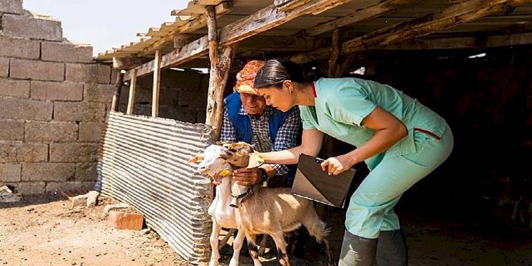 Başka Bir Tarım Sertifikasyonu uluslararası geçerlilik kazandı