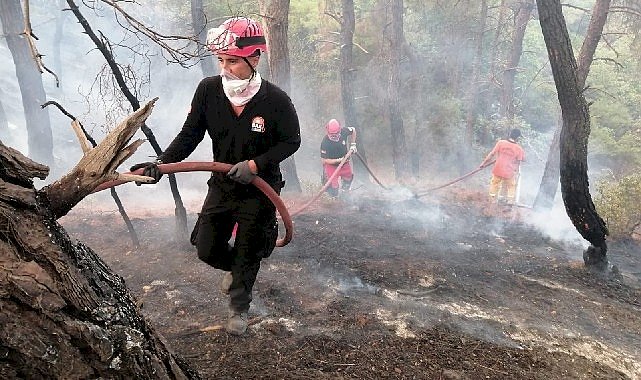 Kadıköy Belediyesi ekipleri Çanakkale'deki yangında soğutma çalışmalarına destek veriyor