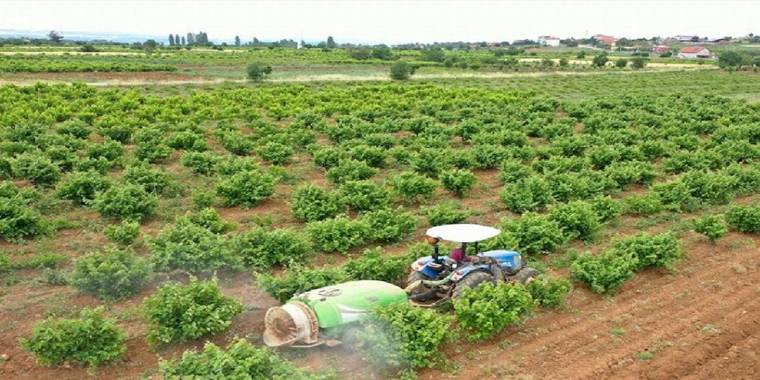 Çiftçiye toprak analiz desteği
